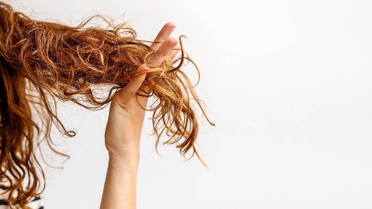    Фото: Shutterstock