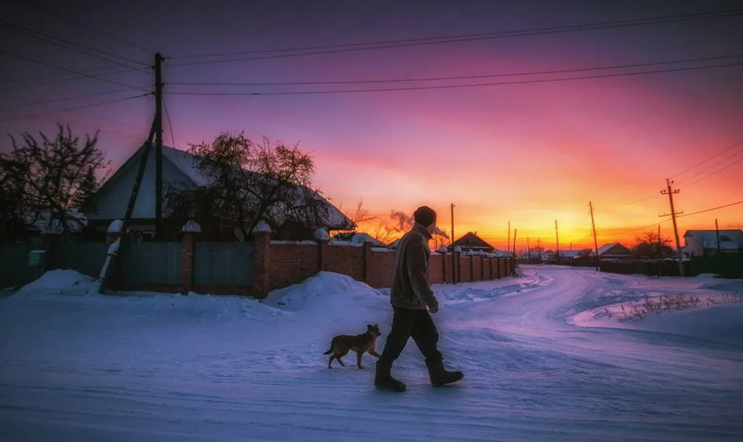 Яндекс картинки