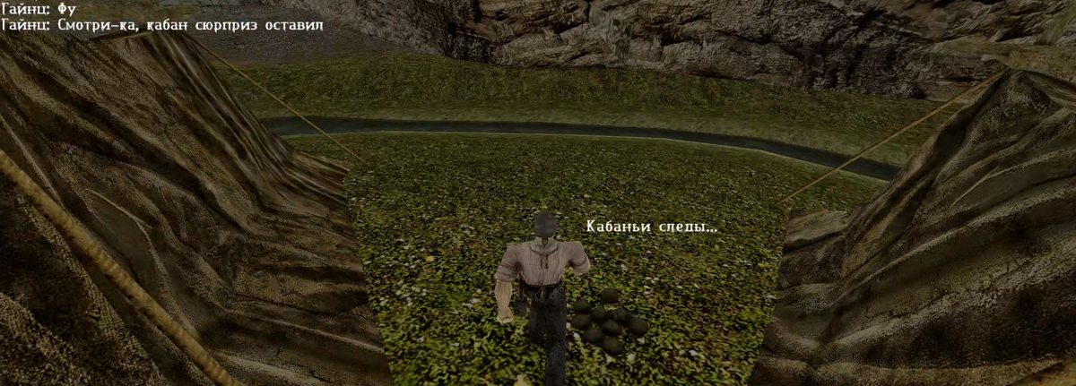 Хрюк навалил кучу