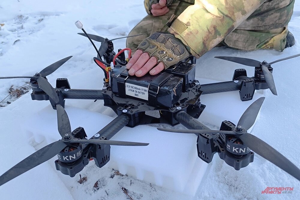    Фото:  АиФ/ Дмитрий Невзоров