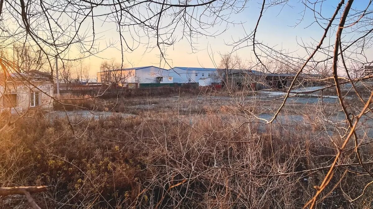     Источник: 1MI