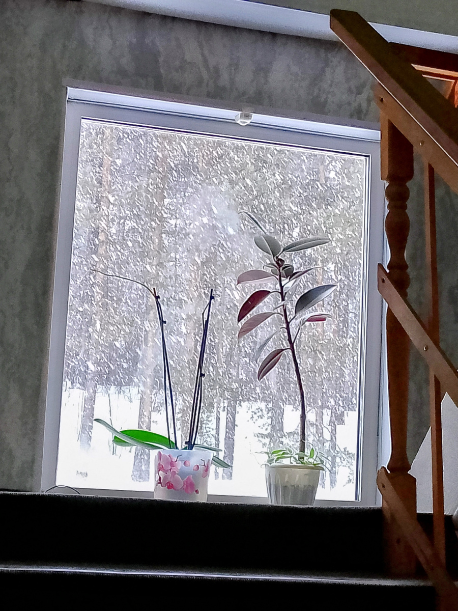 Утренний снегопад