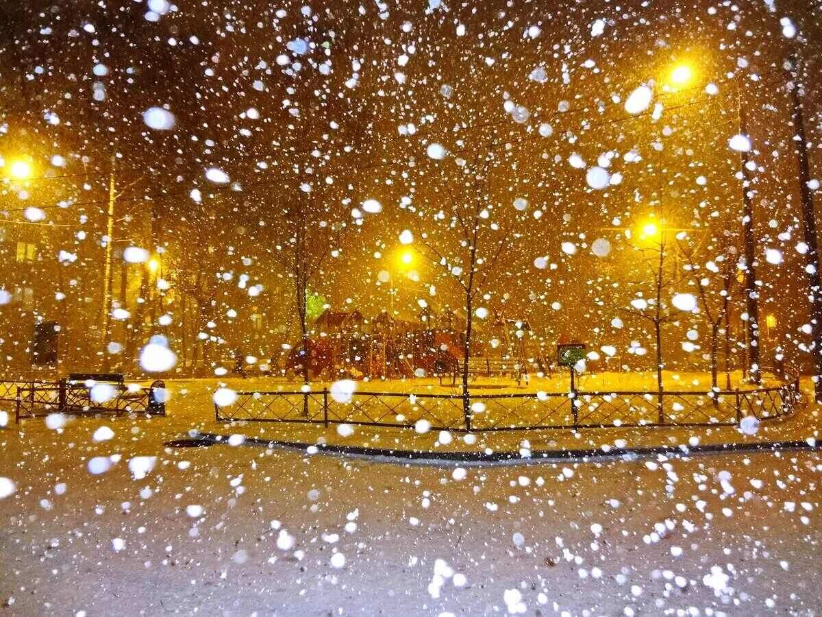 Скачено из открытых источников интернета.