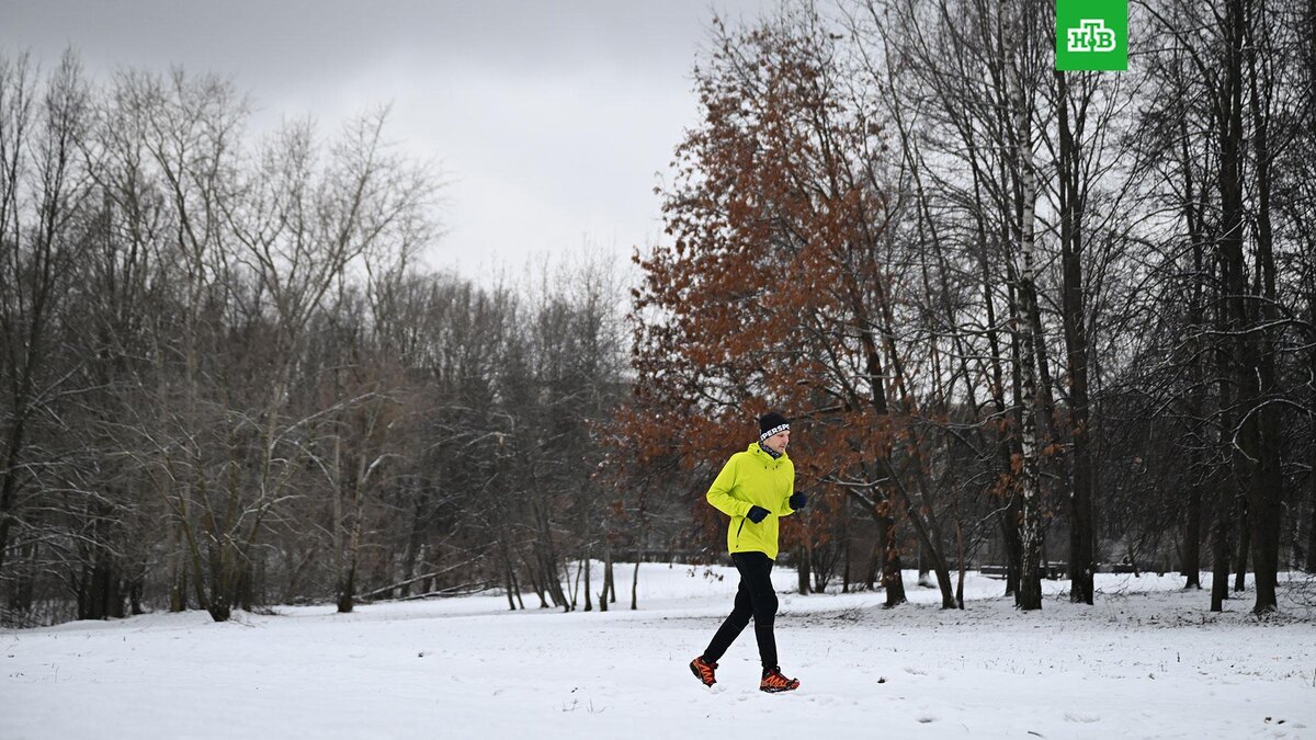    Фото: РИА Новости © 2025, Пелагия Тихонова