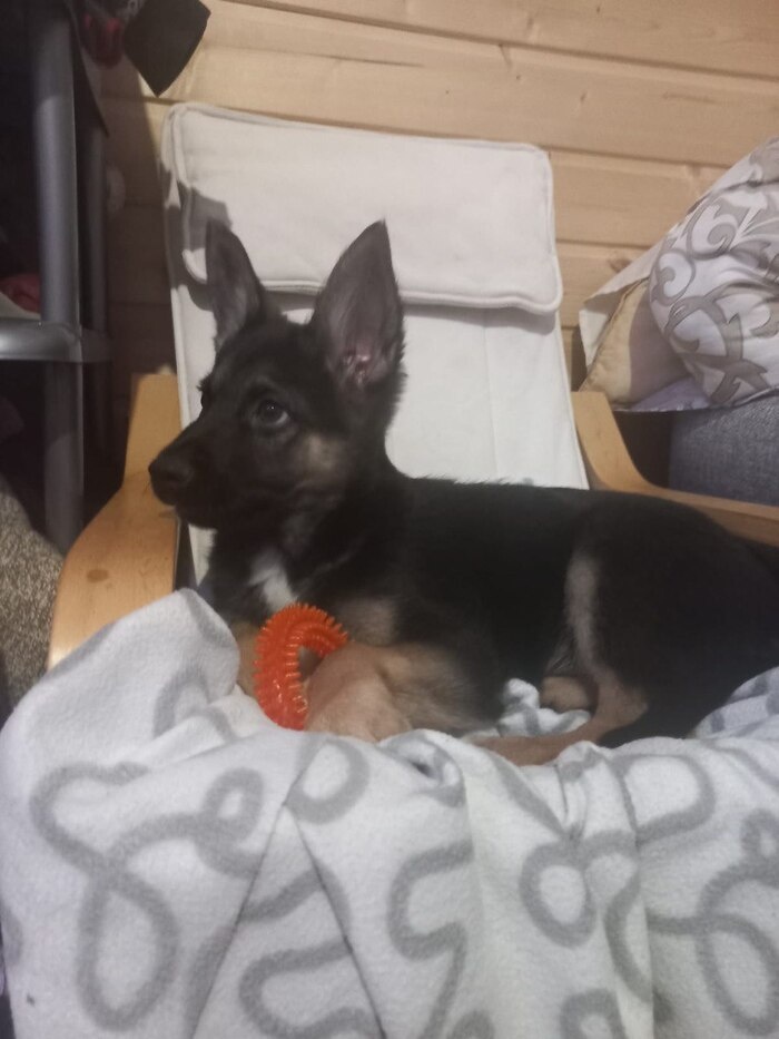 Листайте вправо, чтобы увидеть больше изображений