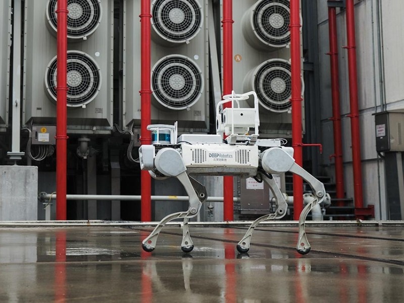    Китайский робопёс принял участие в пожарно-спасательной операции