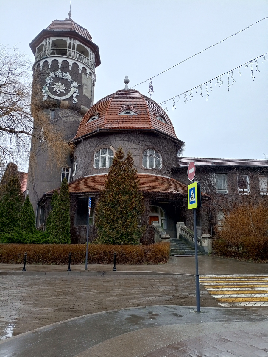 Светлогорск .