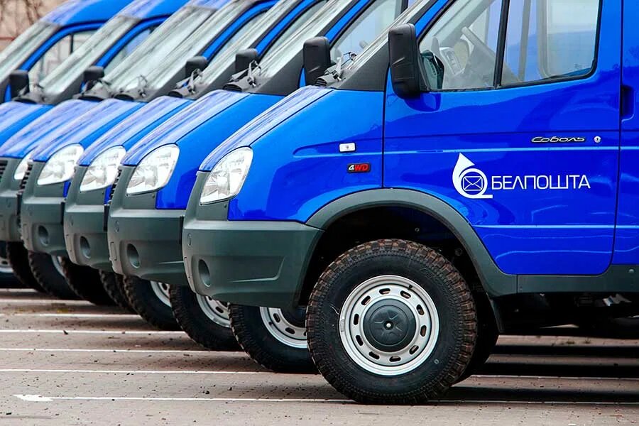    Фото: Tricky_Shark / Shutterstock