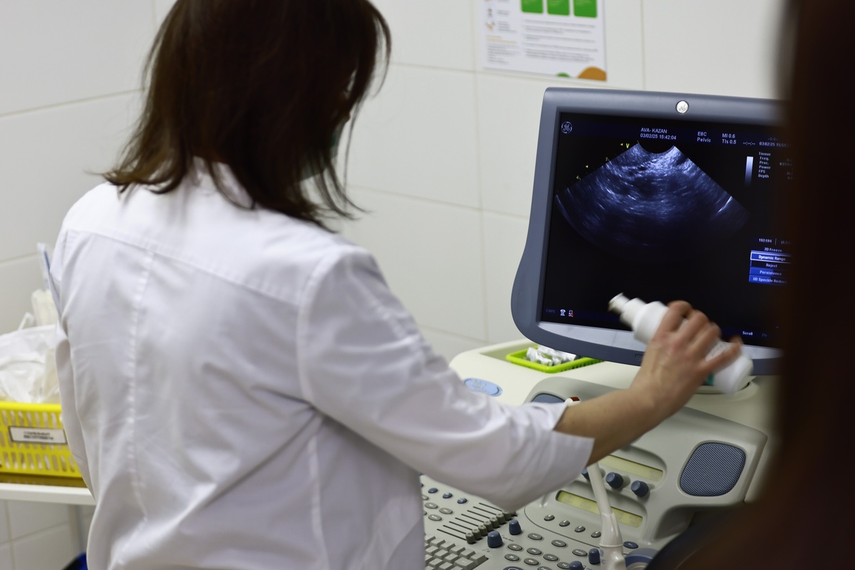 Автор фото: Павел Хацаюк / ИД «Вечерняя Казань»