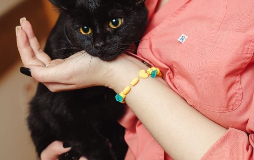 Из холодного подъезда в руки добрых волонтеров...