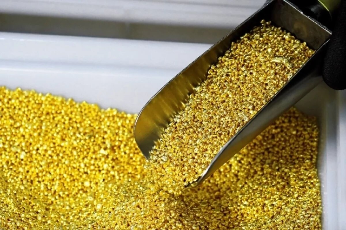    В России нашли экологичный способ извлечения золота из отходов горнодобычи