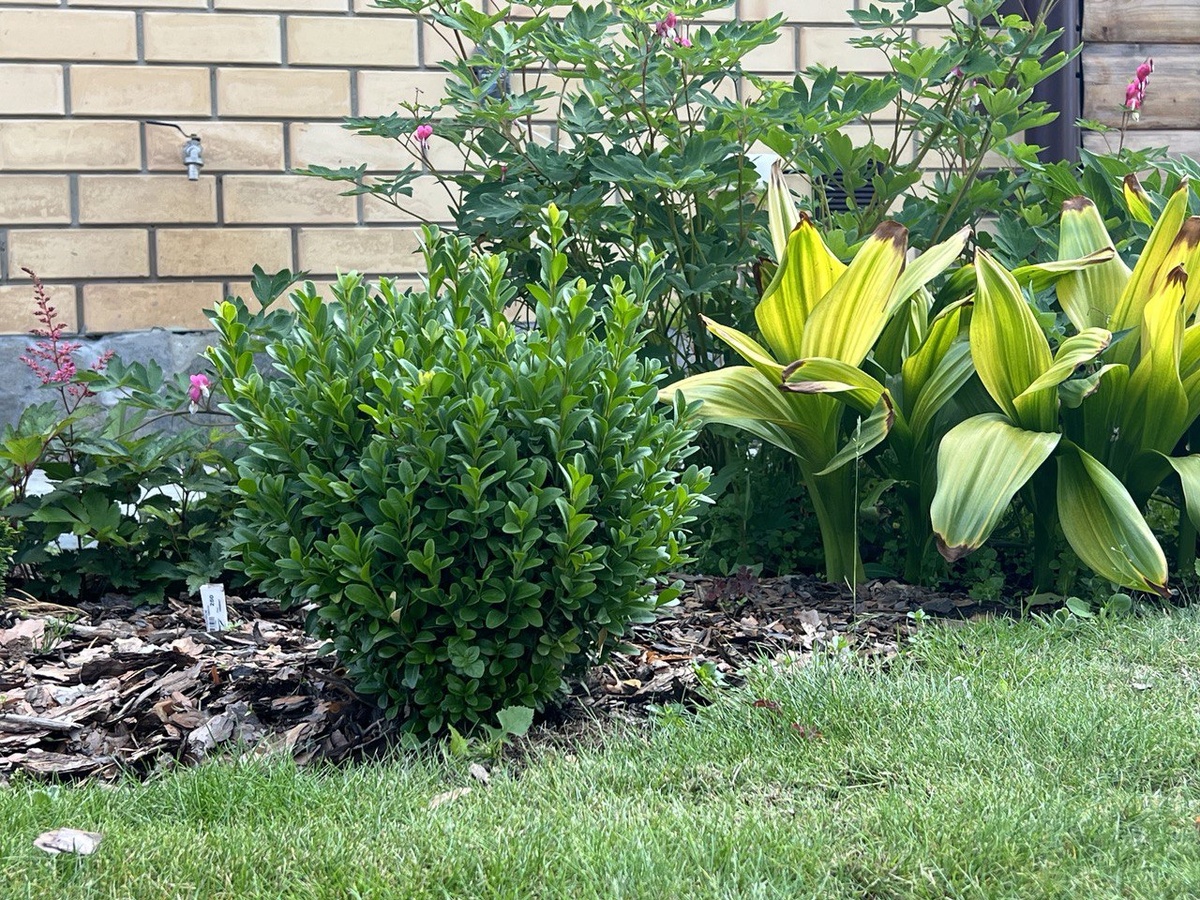 Фото автора канала Дом с кипарисами