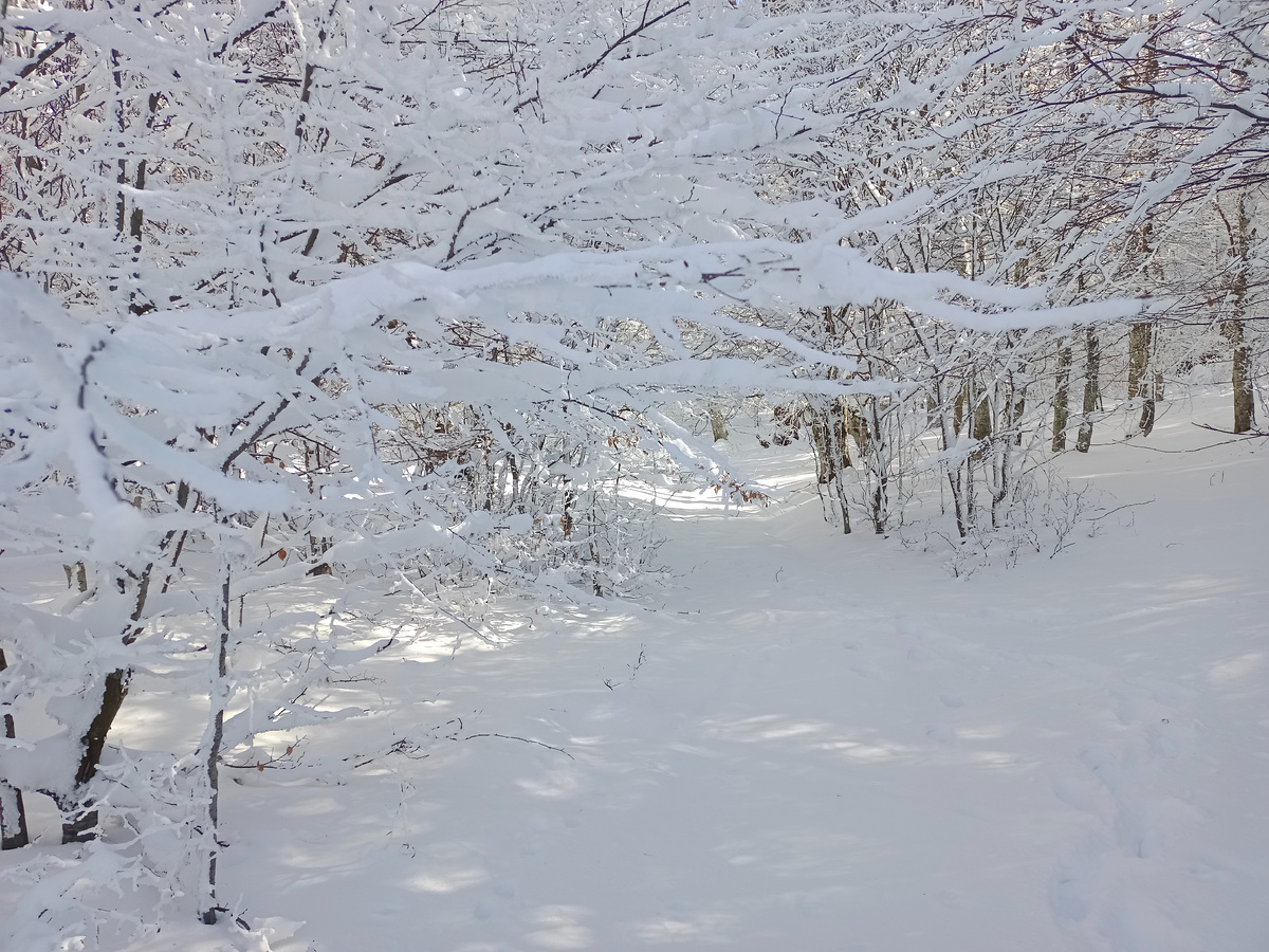 гдето в районе плато Караби 