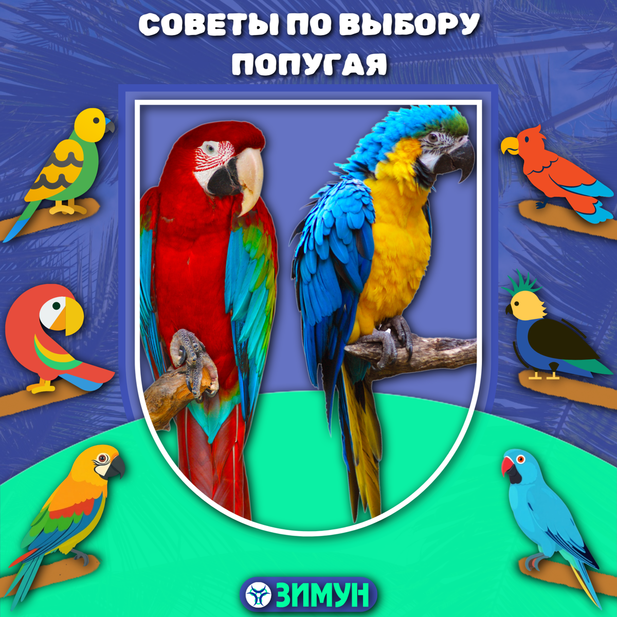 Заставка с попугаями на фоне