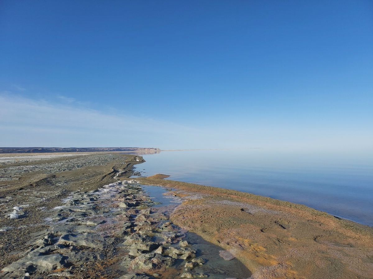 Берег Аральского моря