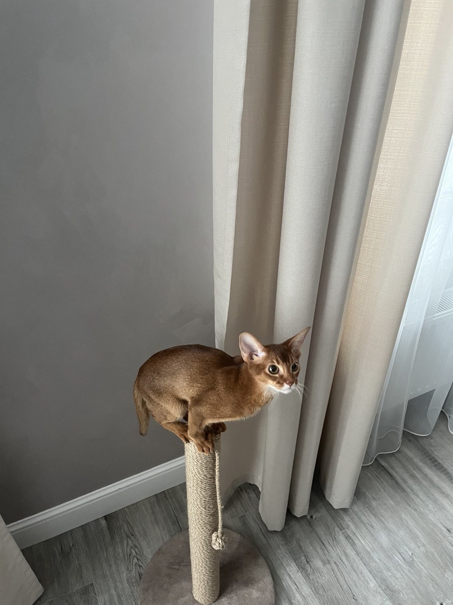 Спустя пару дней в новом доме