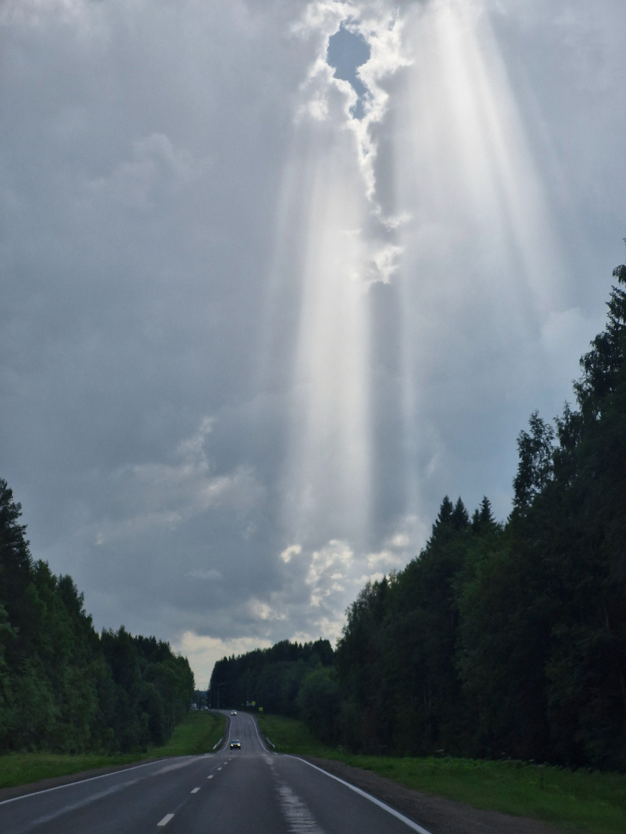 По пути в Онежский район. Участок дороги между Долматово и Няндомой.