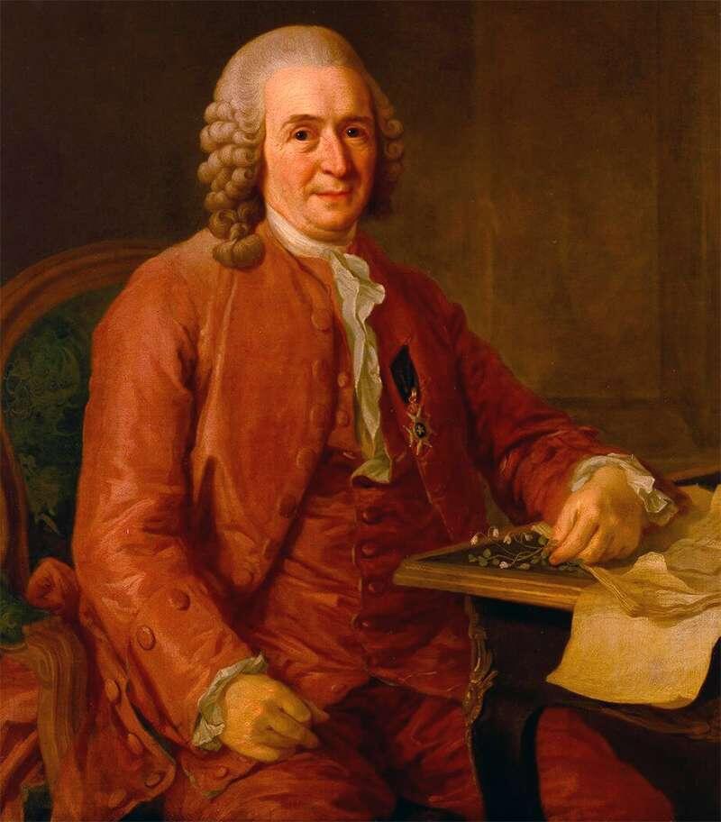 Карл Линней, шведский естествоиспытатель. 