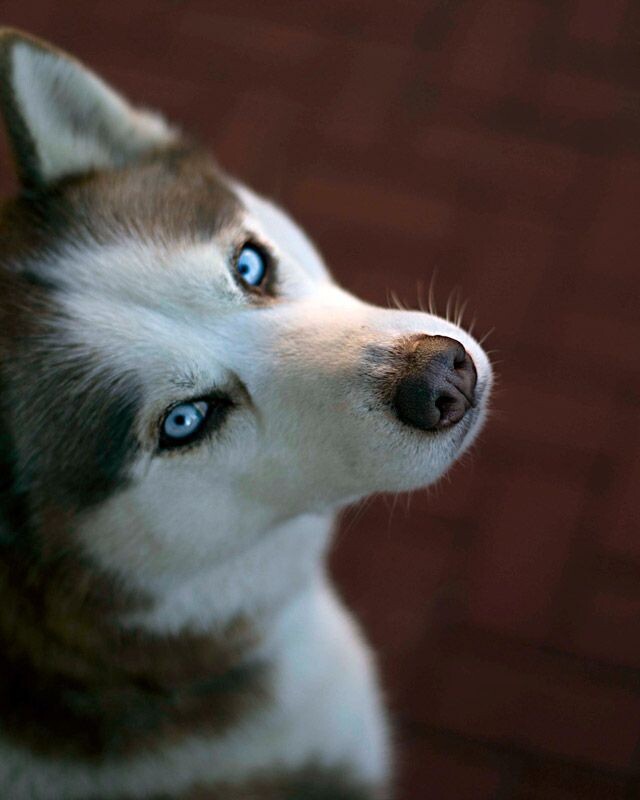 Pinterest для обложки