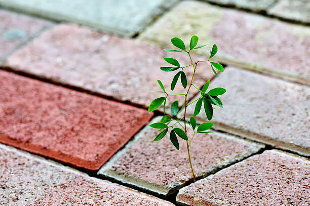 Часто мы выбираем сложный путь осознанно. Чтобы проверить себя или бросить себе вызов. Но бывает, что мы внезапно оказываемся на слишком большом уровне сложности. В лубом случае ошибок не избежать. Мы люди. Это нормально.