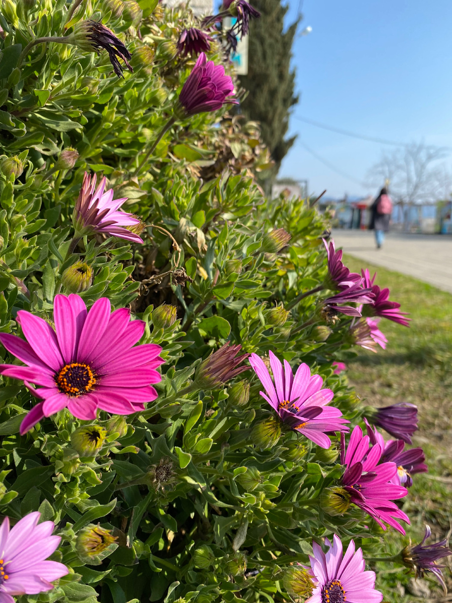 Набережная