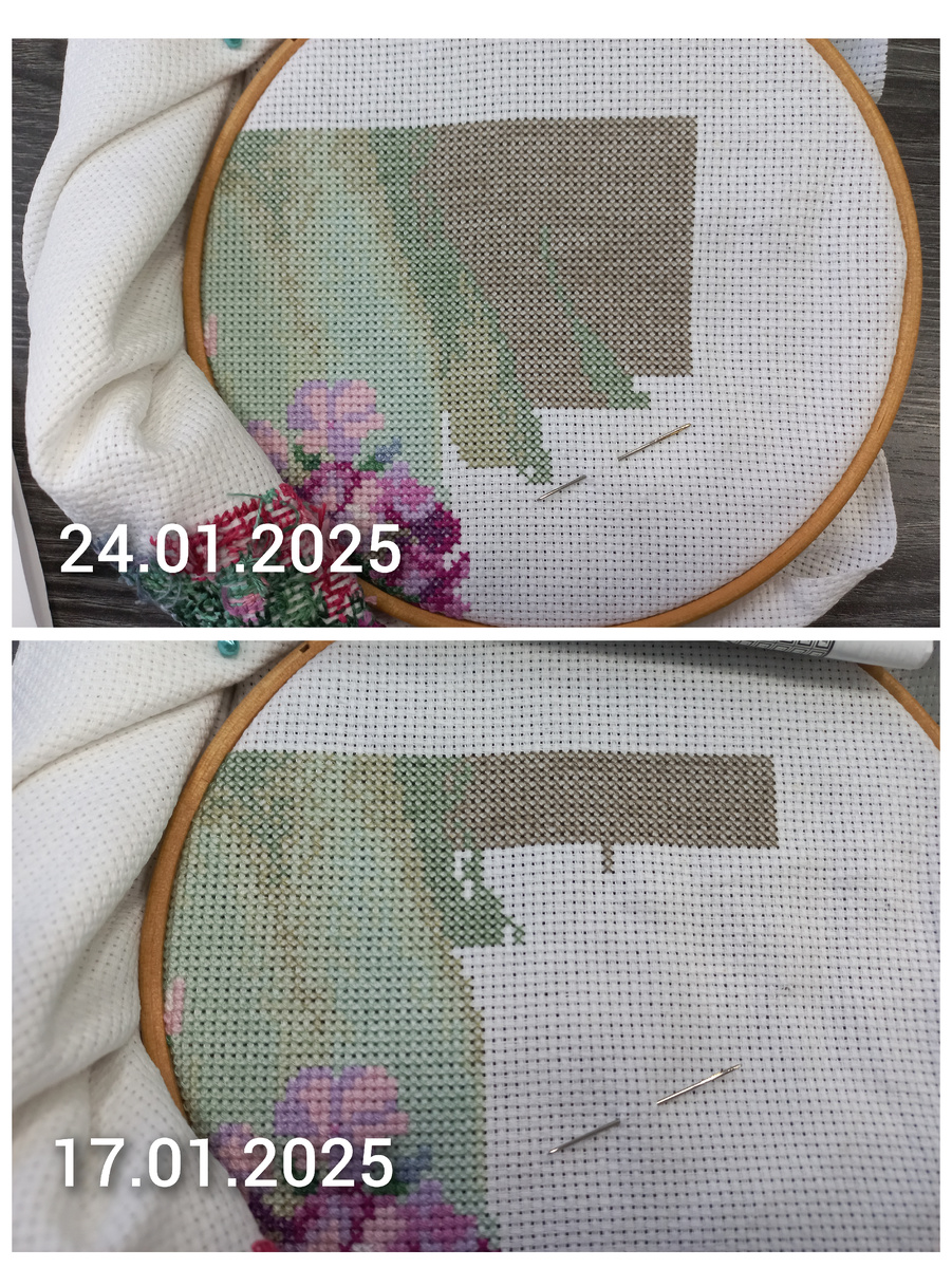 Фрагмент вышивки по набору от фирмы Панна Ц-1184 "Флоксы"