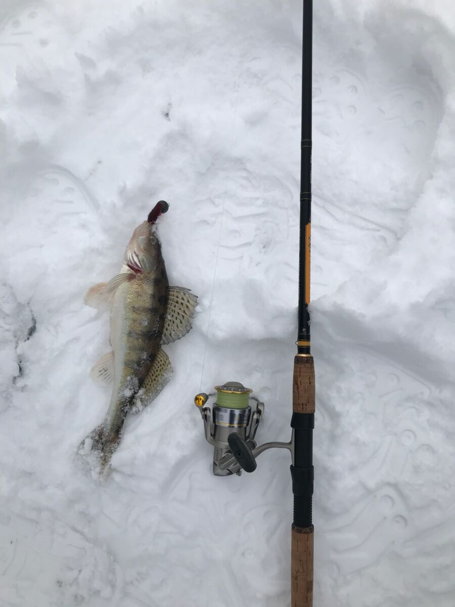 Неоспоримый кореец. Обзор Black Hole Undisputed