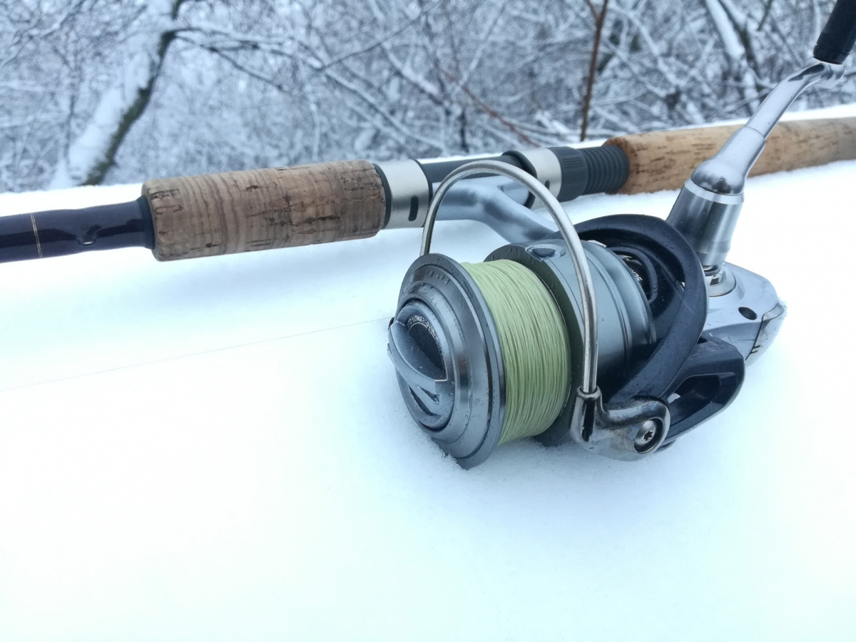 Неоспоримый кореец. Обзор Black Hole Undisputed