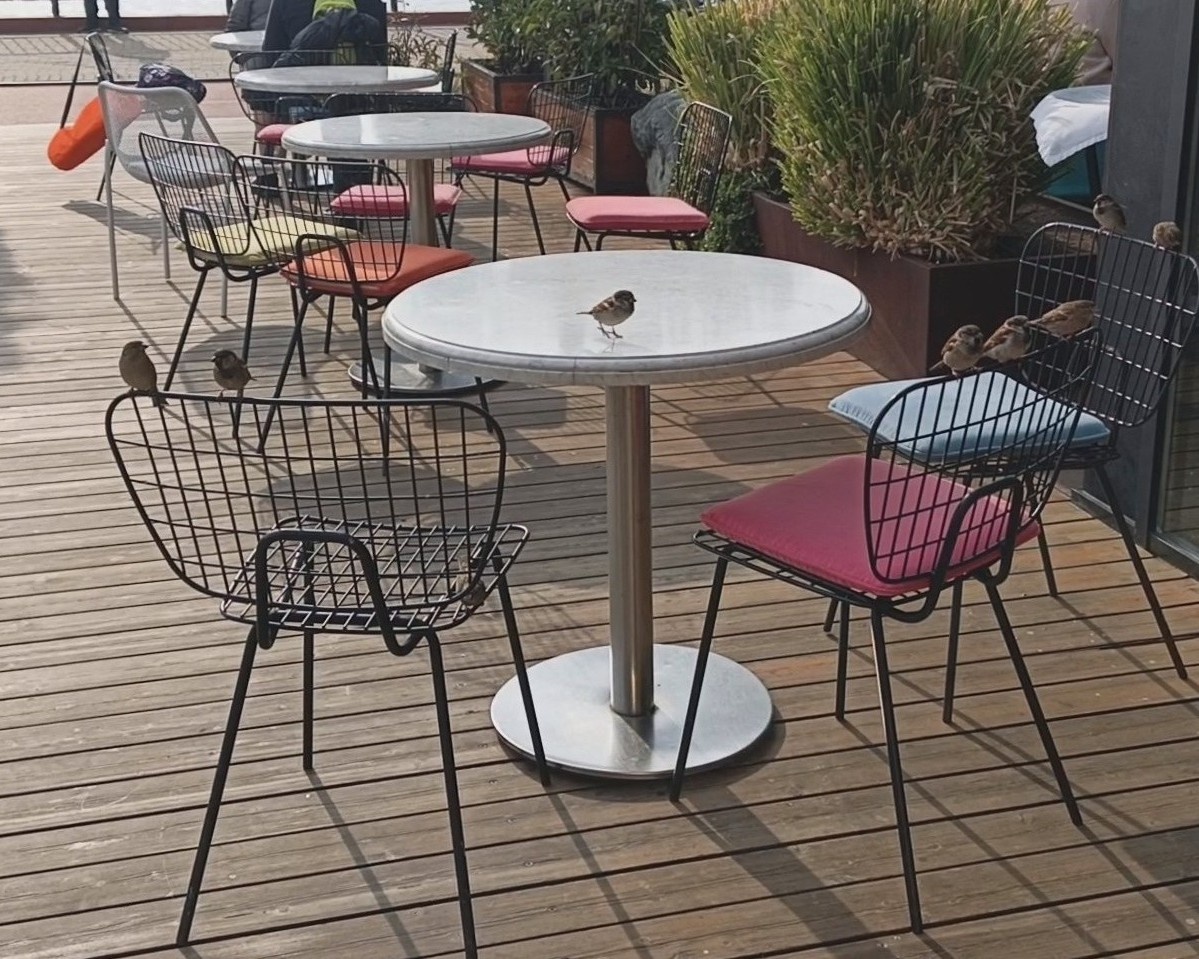 Имеретинская набережная, февраль 2025 года