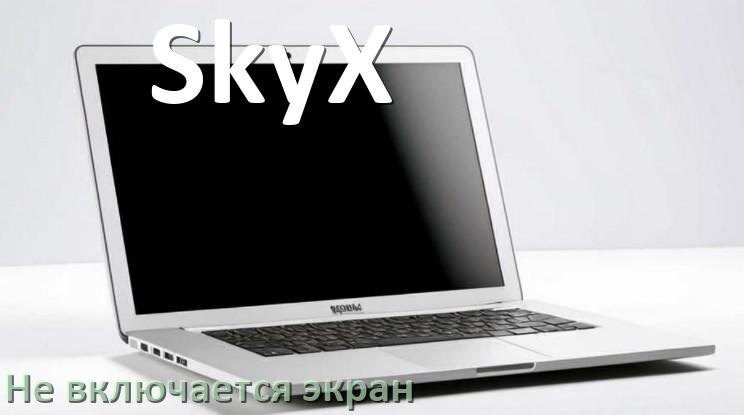 
Почему на ноутбуке SkyX чёрный экран не включается и что делать