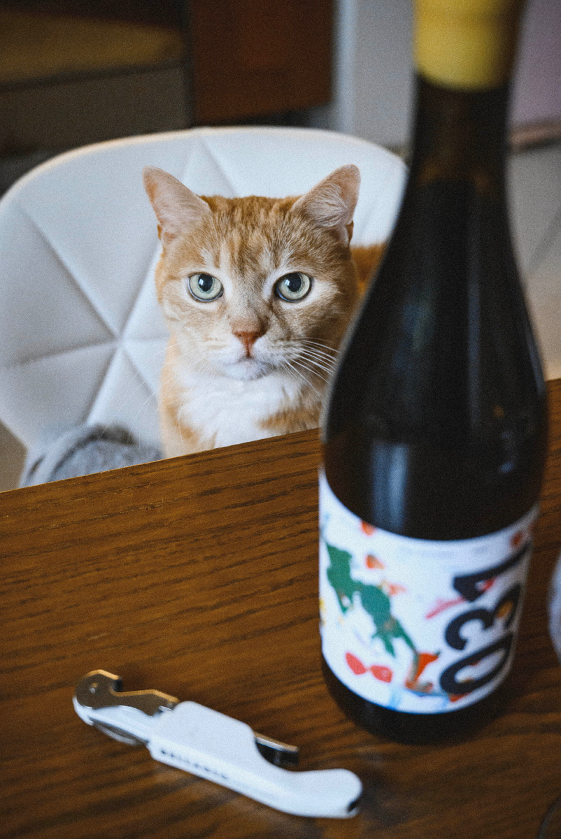 Фото Анна Гончар