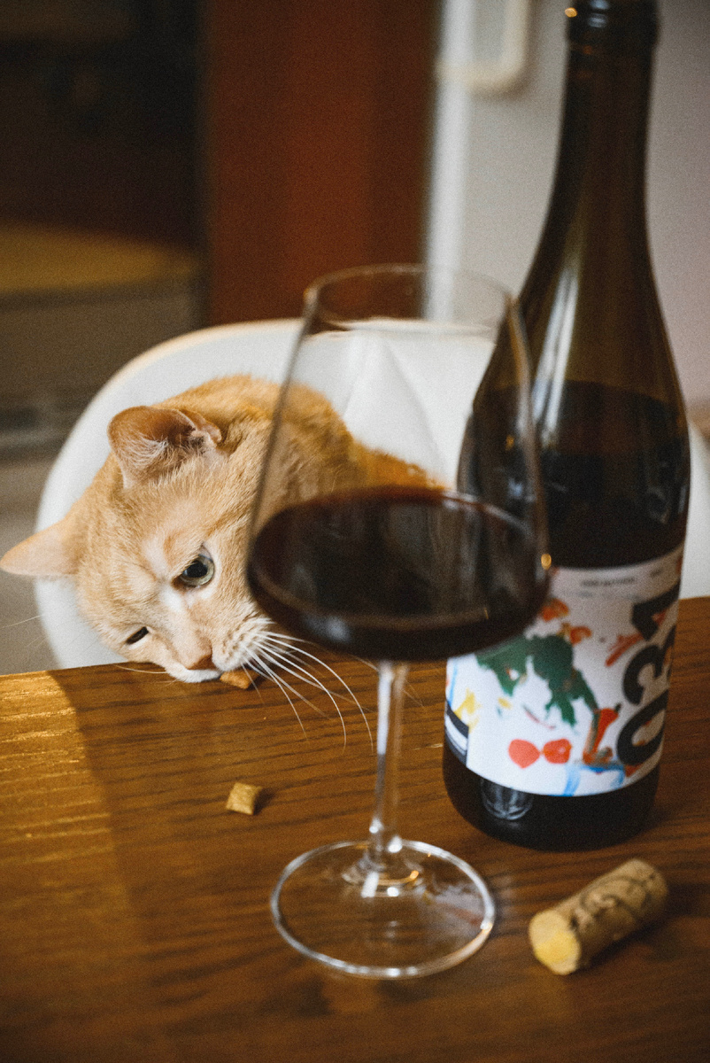 Фото Анна Гончар