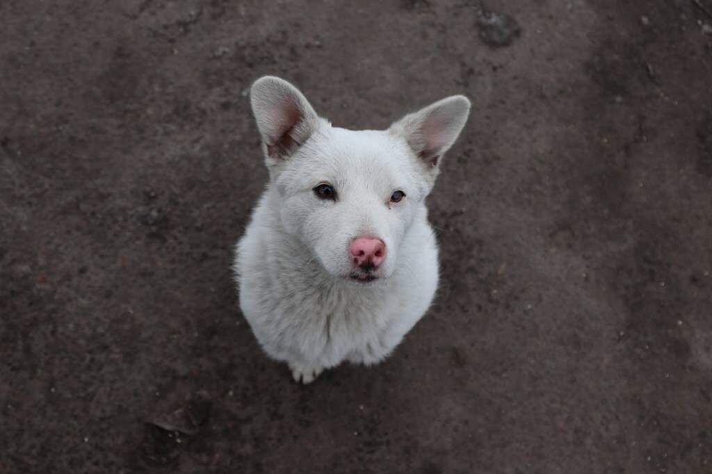    Фото: УМВД России по Курской области