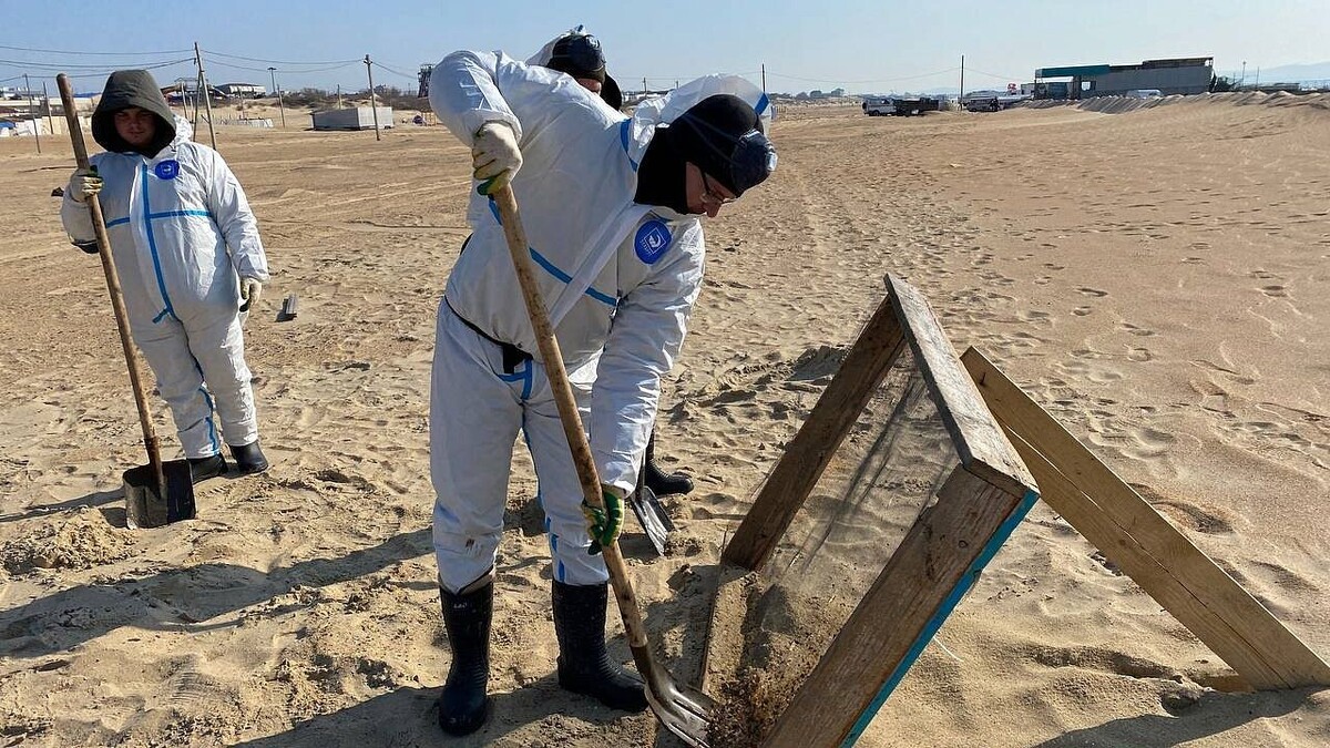    Фото: телеканал «Краснодар»