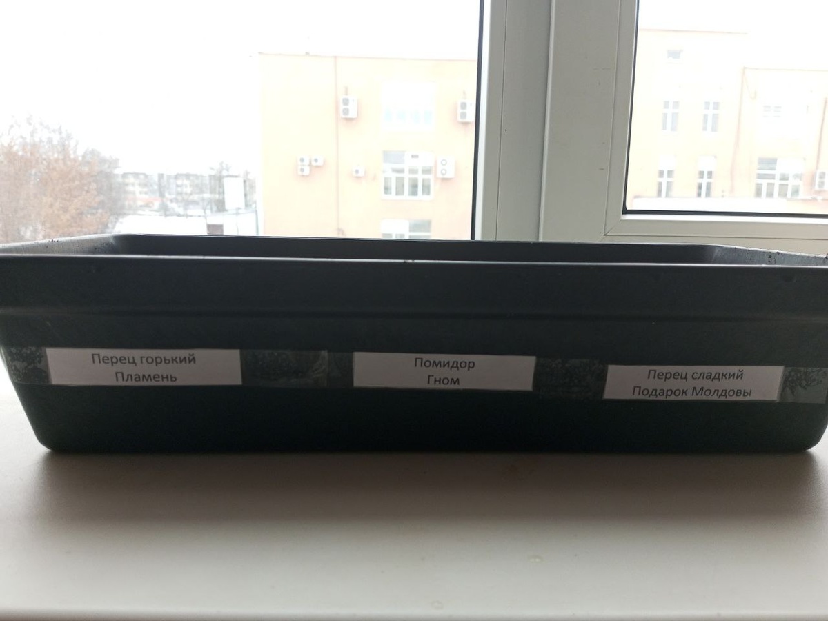 Фото автора. 