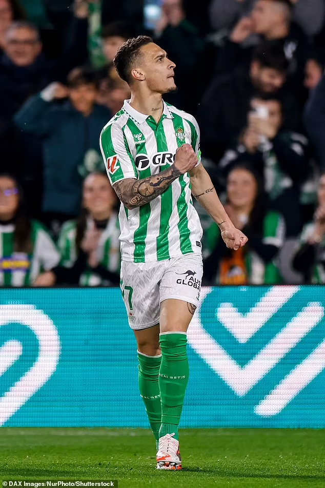 Энтони продолжил свой успешный дебют в футболке «Реал Бетиса», забив гол за испанскую команду в матче Лиги Конференции УЕФА в Генте в четверг вечером