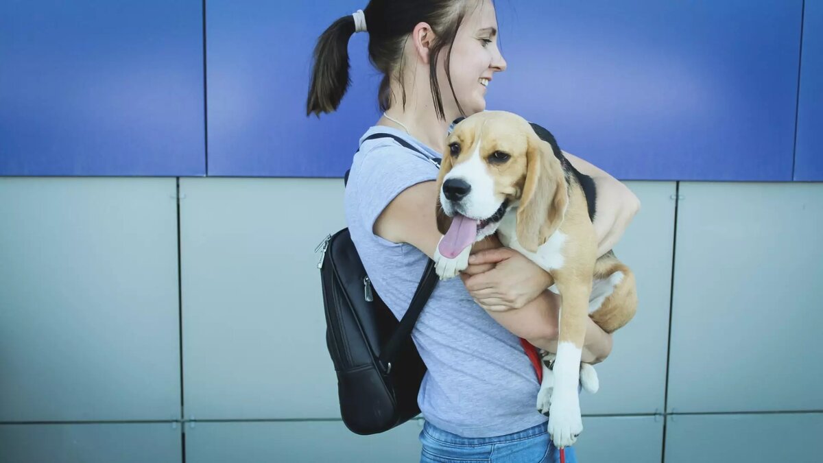     Источник: 1MI