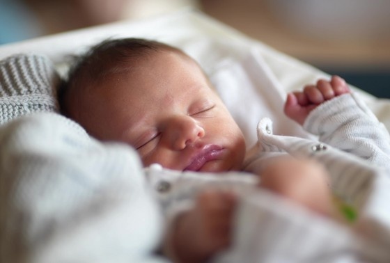    Shutterstock/FOTODOM