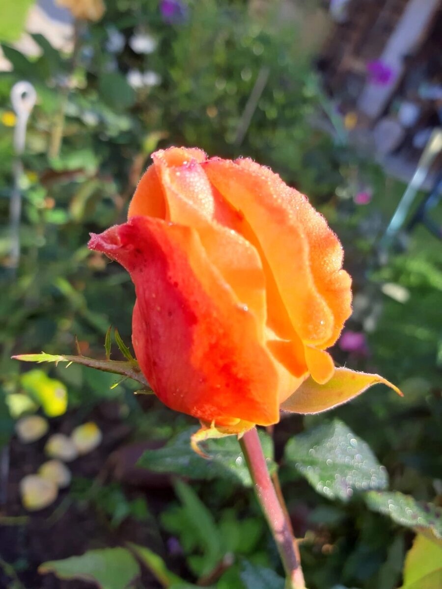 Эта фотка и все остальные мои