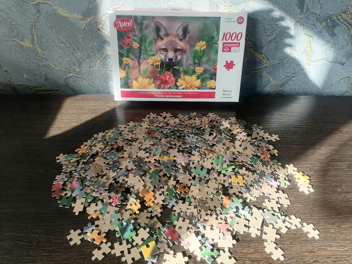 Начала одна, а закончили всей семьёй