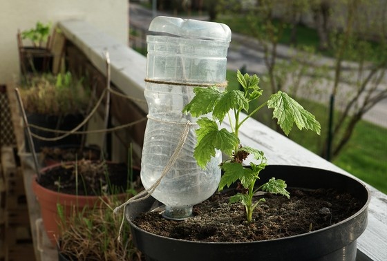    Shutterstock/FOTODOM