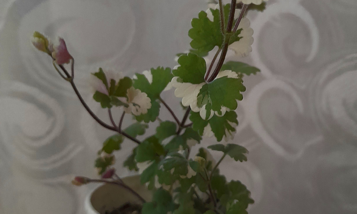 Фото автора канала