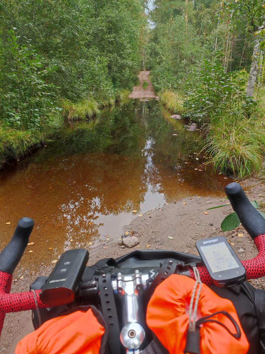 Иногда, правда, приходилось обходить здоровенные лужи