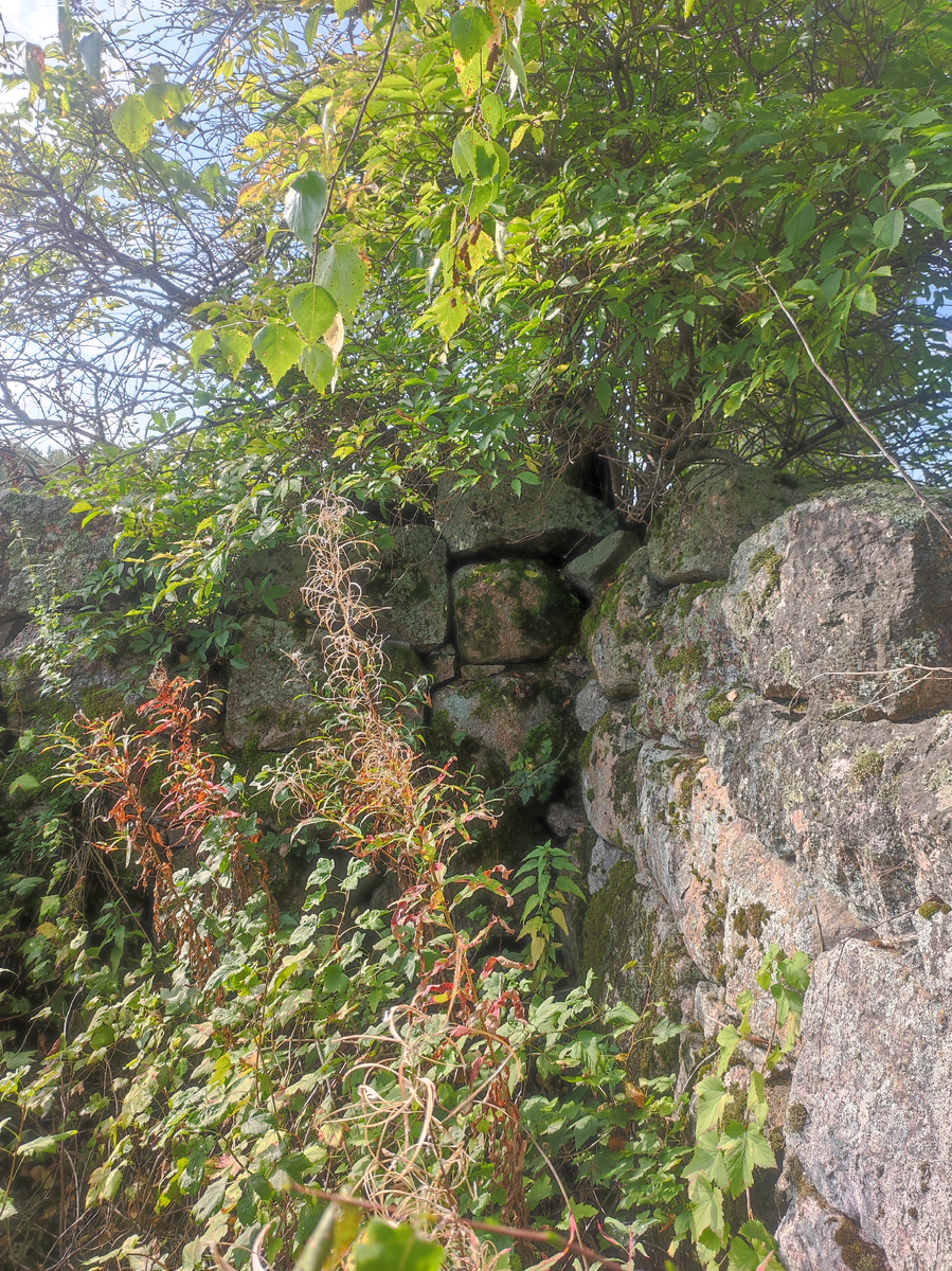 Развалины финского дома. Их много на перешейке.