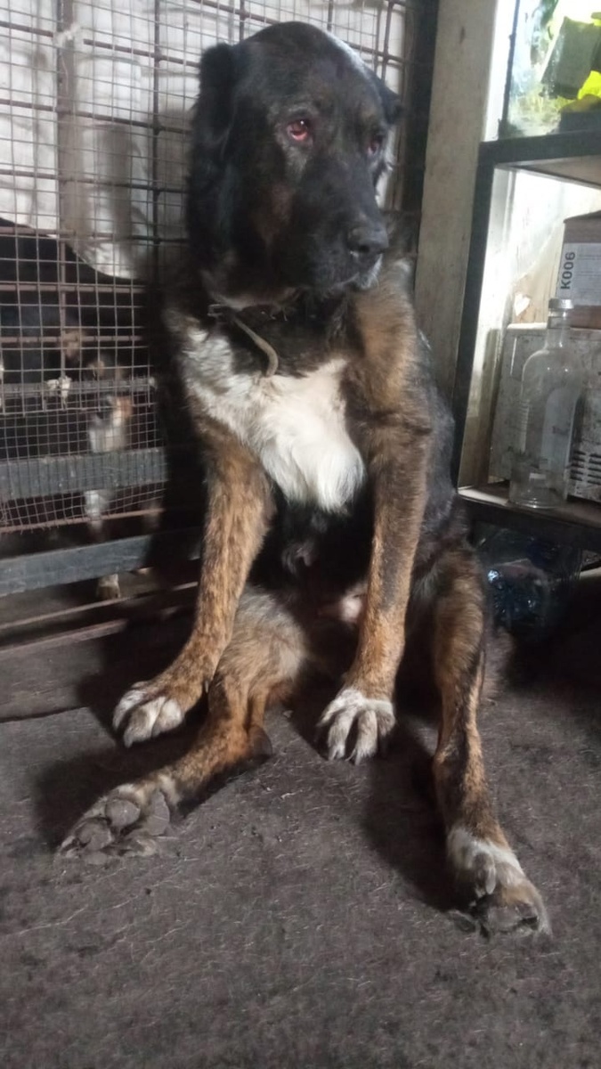 В наших сердцах навеки:-(