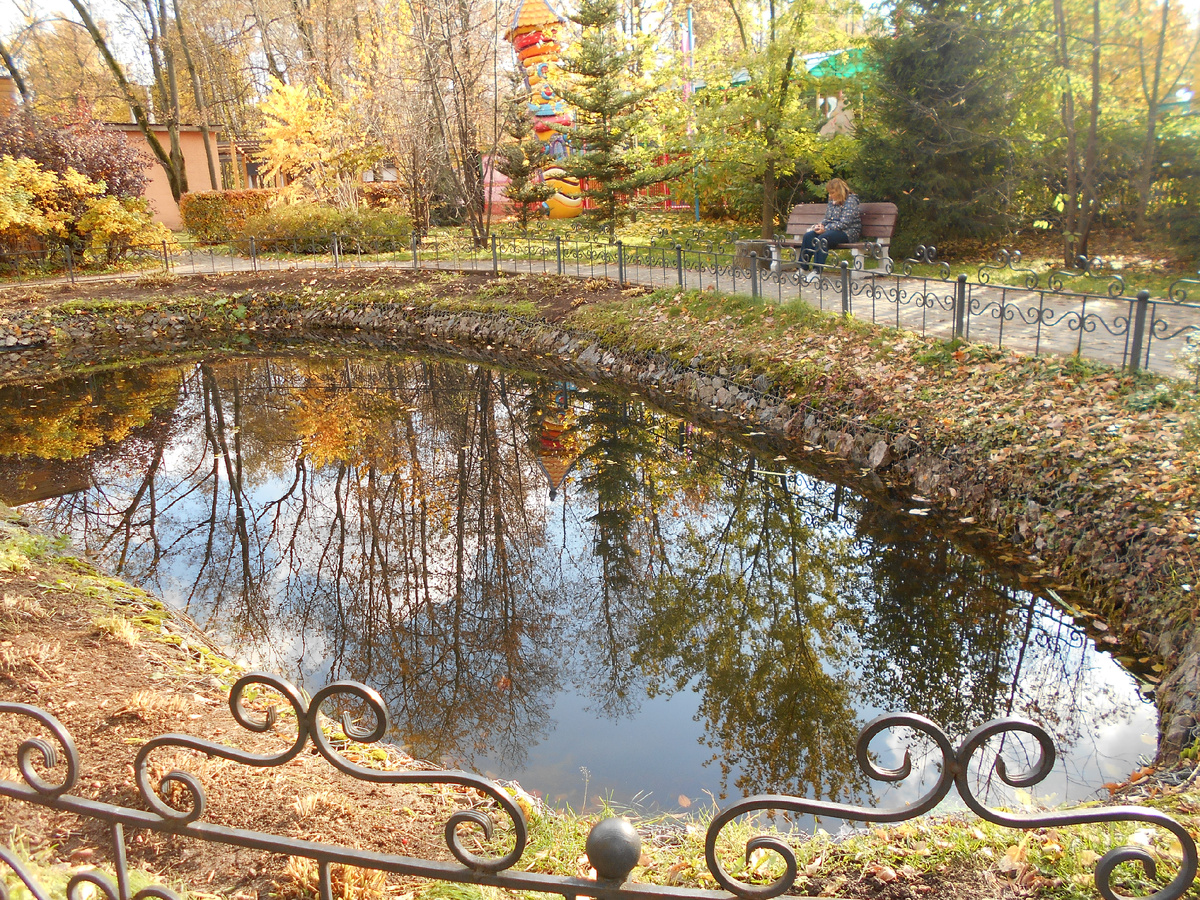Водоем, отражение в воде