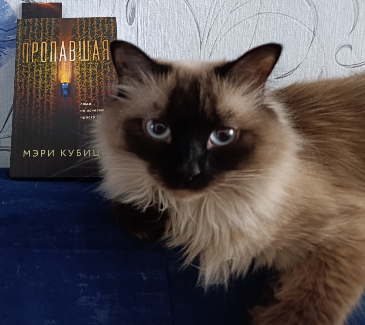 Книгу в мягкой обложке из сети магазинов fix price  представляет Джессика