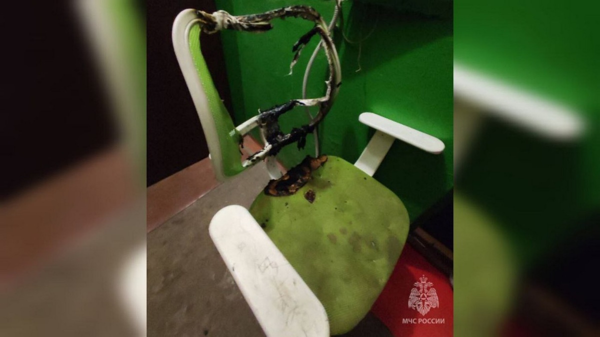    «От игры до трагедии один шаг»: 4-летний ребёнок чуть не сжёг квартиру в Курске