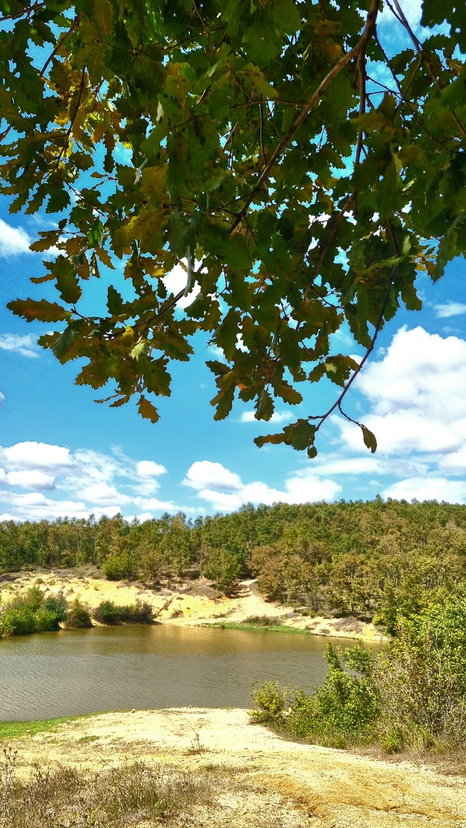 Фото Elena HrisTan 