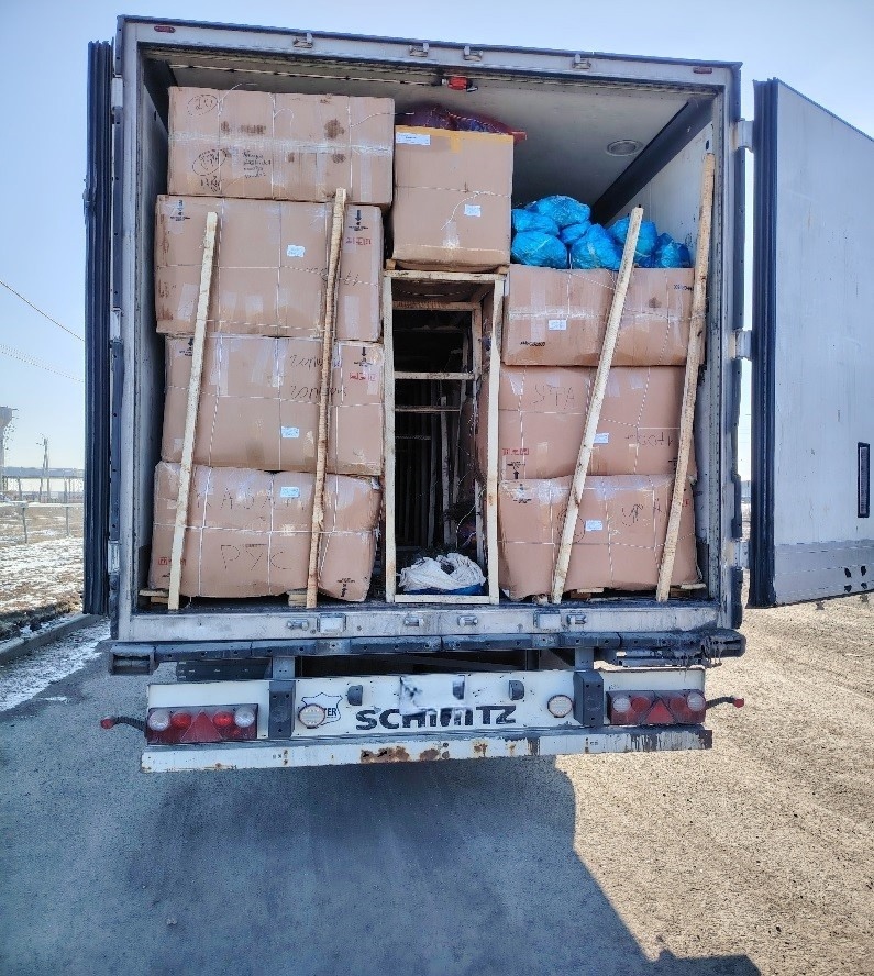    В Оренбуржье пресекли незаконный ввоз 230 тысяч саженцев роз Оренбуржье